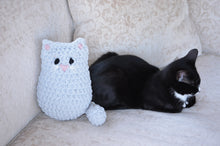 Load image into Gallery viewer, Cat Pillows
