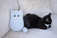 Load image into Gallery viewer, Cat Pillows