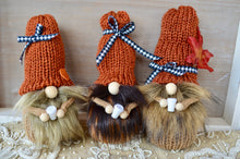 Load image into Gallery viewer, Gnomies - #PSL