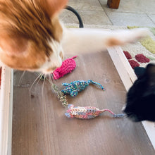 Load image into Gallery viewer, Sibling Love - fighting over the cat nip!
