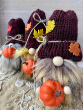 Load image into Gallery viewer, Gnomies - Autumn