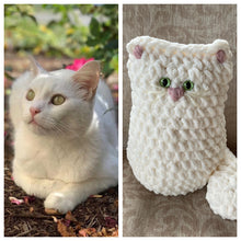 Load image into Gallery viewer, Cat Pillow - Custom
